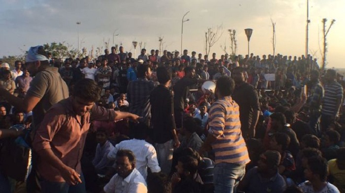 Jallikattu: Thousands protest at India bullfighting ban